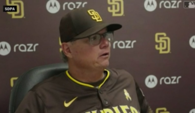 Major League Record for the most pitches in a game?