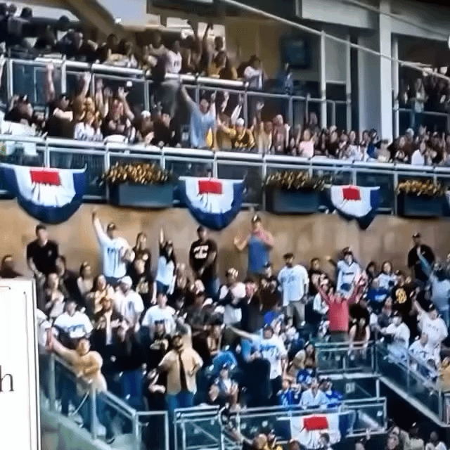 Padres fan bare-hands it