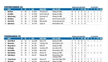 Winnipeg Jets Training Camp Groups