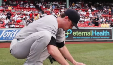 [Yankees] A moment of zen for your afternoon. 

#RepBX