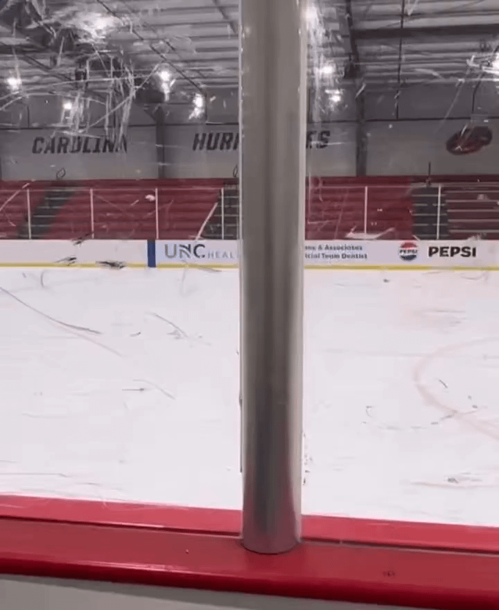 Couldn't crosspost for some reason but enjoy this clip of our favorite feral goalie