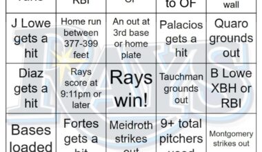 Rays vs White Sox Bingo, 9/10/2025