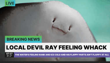 PGT: a Rays nobletiger followed by a late game crumble and a 1 pitch walkoff HR leads to another loss [F 5-6]