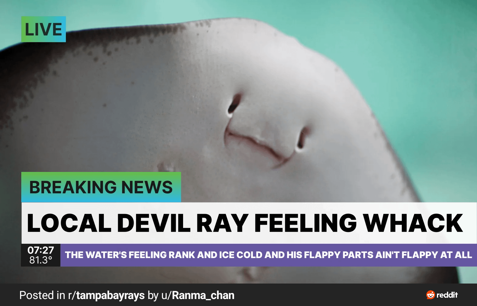 PGT: a Rays nobletiger followed by a late game crumble and a 1 pitch walkoff HR leads to another loss [F 5-6]