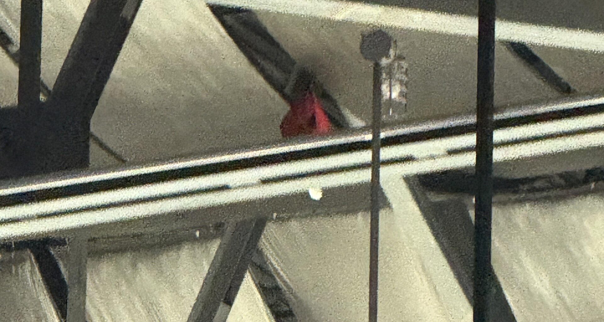 Happy to report our lord and savior is still watching over us!