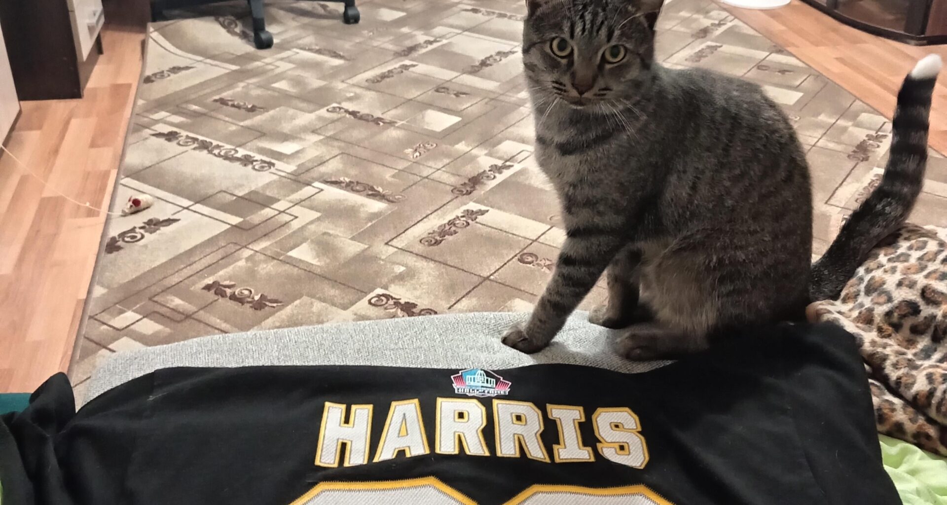 How many international fans we have there?