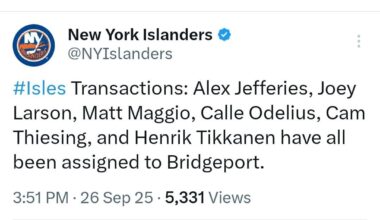 Jefferies, Larson, Maggio, Odelius, Thiesing, Tikkanen assigned to Bridgeport