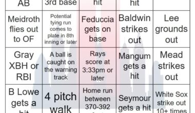Rays vs White Sox Bingo, 9/11/2025
