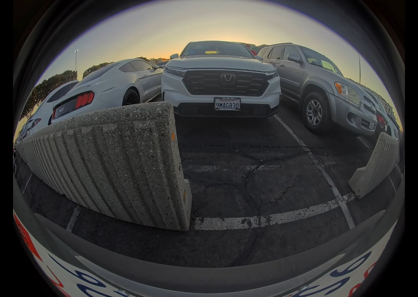 Car keyed 9/6/2025 game