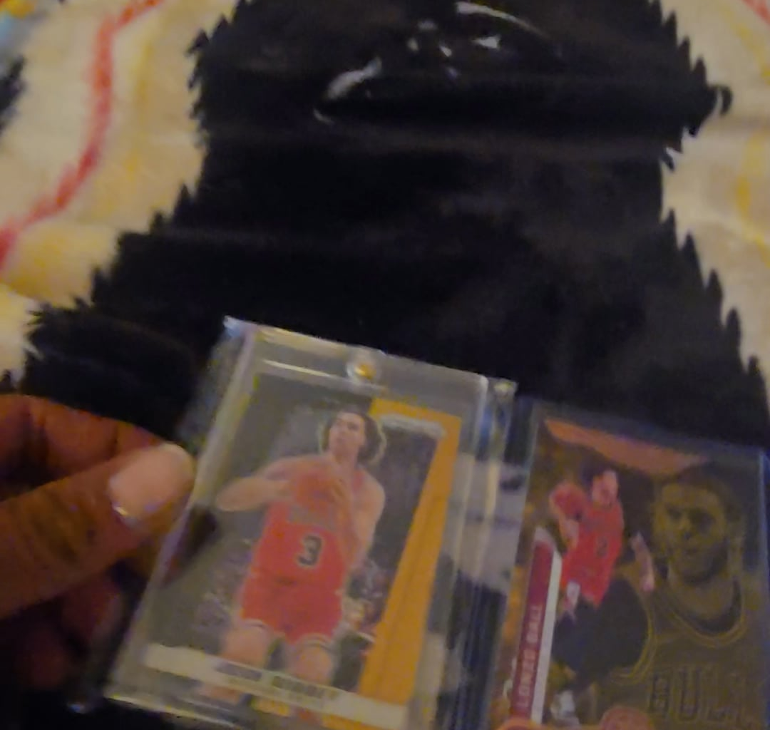 What do you guys think of my collection?