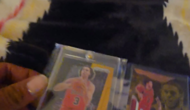 What do you guys think of my collection?