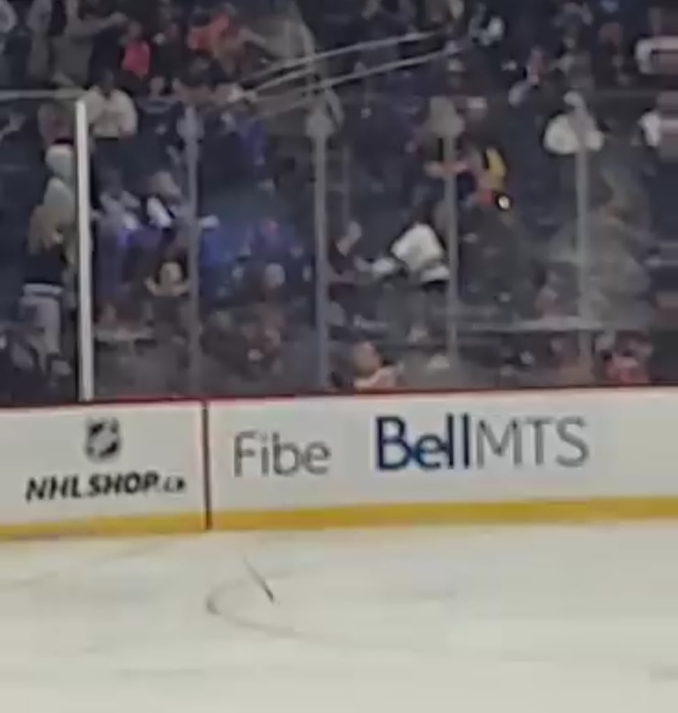 Jets Vs Oilers crowd fight