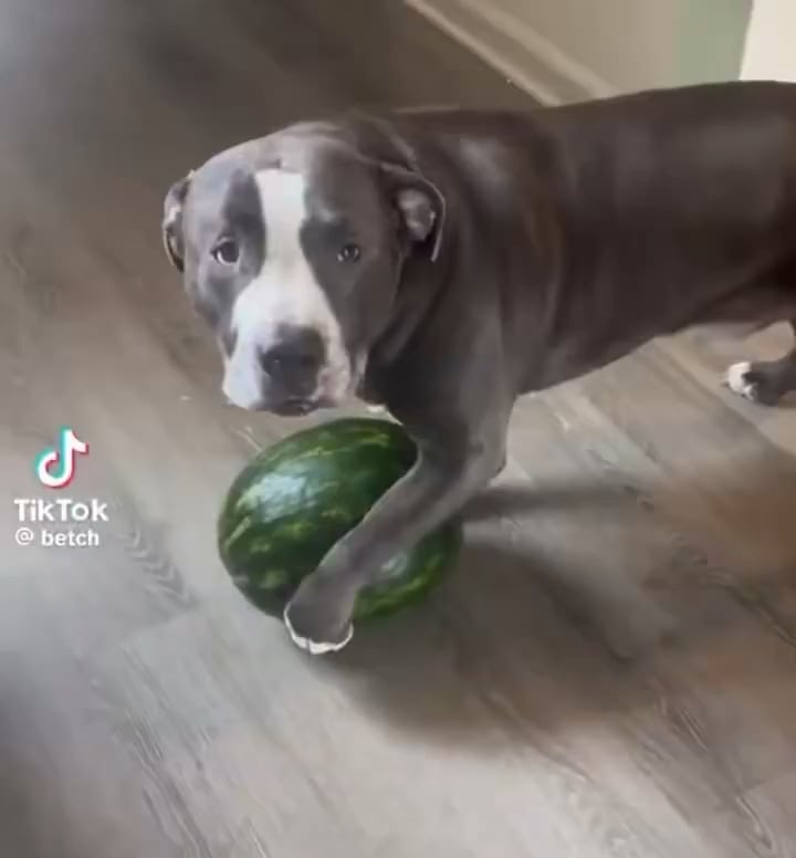 Need Rhamondre protecting the ball like this moving forward…