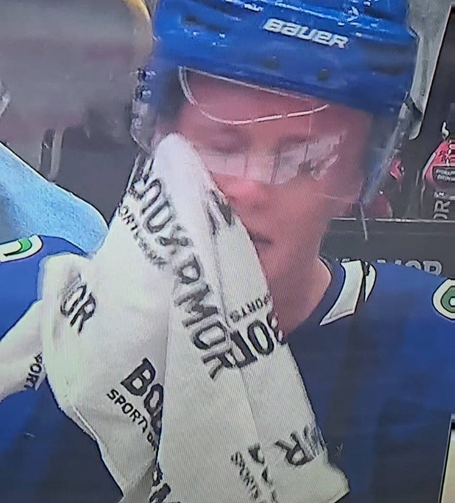Elias Pettersson 25 singing "Unwritten" after fighting.