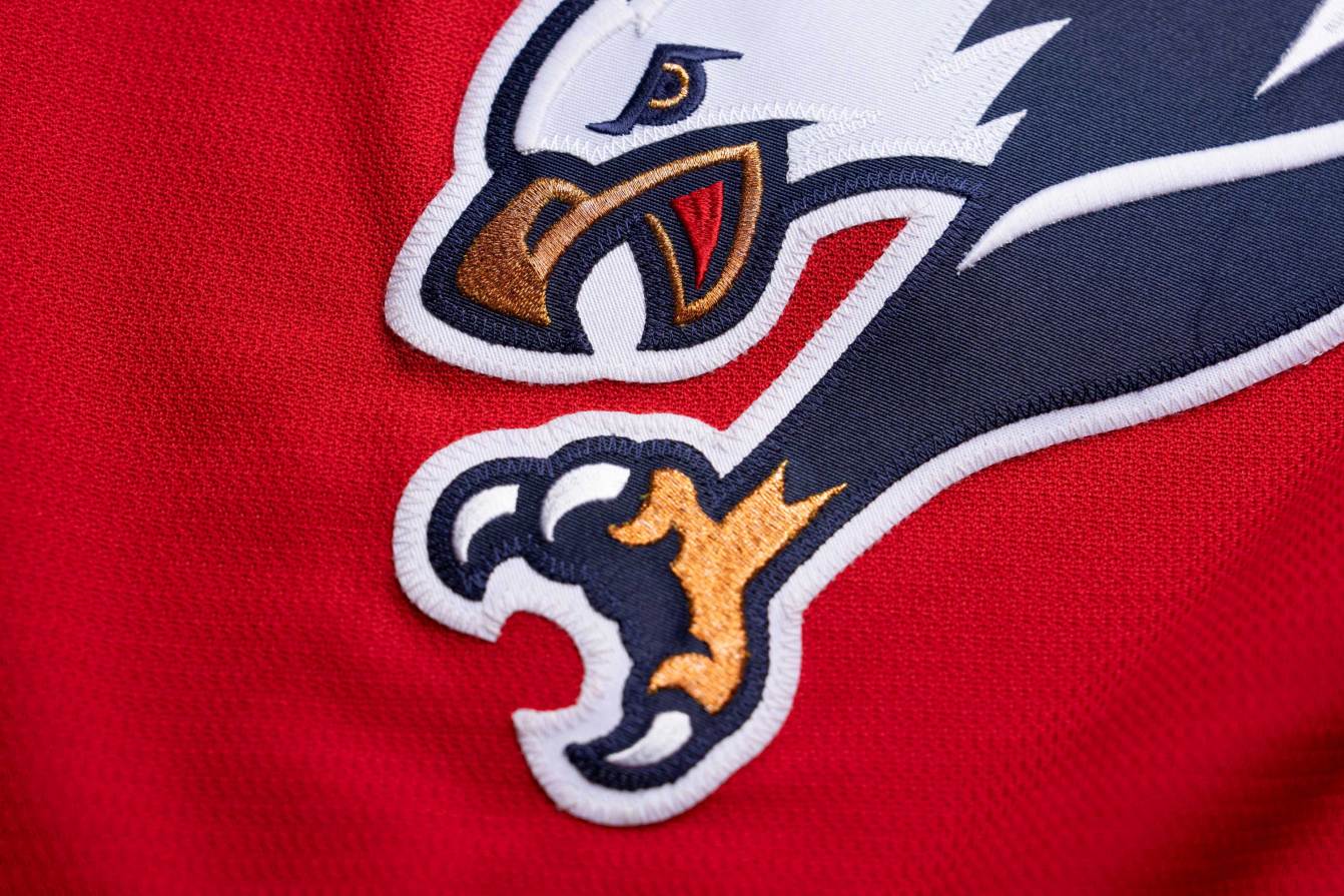 A close up of the Screaming Eagle crest logo