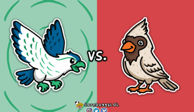 Arizona Cardinals TNF Gameday Doodle :)