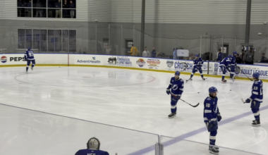 Baby Bolts vs Litter Critters