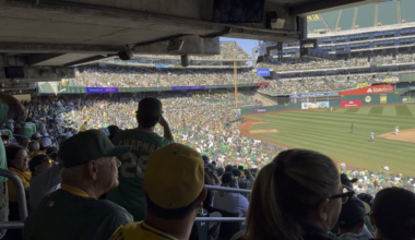 365 Days Ago, the Last Wave