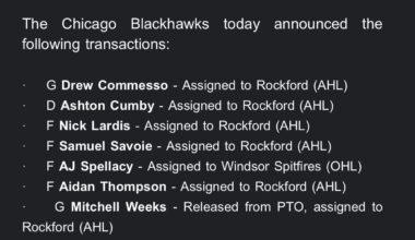 Blackhawks announce more roster cuts