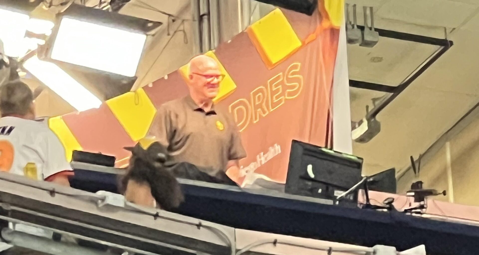 Our dear Mudd, we love our resident Golden Retriever.