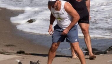 Wild Theory: Did Aaron Rodgers Secretly Marry His Buddy Mike Stud? (The Concert Clues That Have Me Convinced)