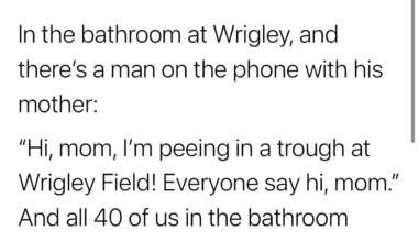 Baseball is back to bringing us all together