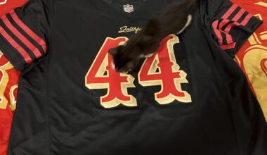 This beauty showed up today!