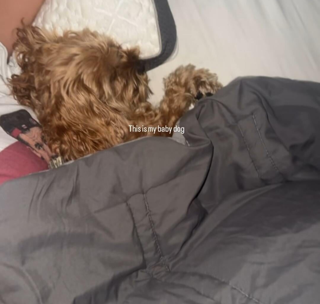 Watched Neci's girlfriend's insta story and spotted a Canes easter egg