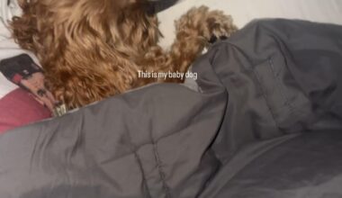 Watched Neci's girlfriend's insta story and spotted a Canes easter egg