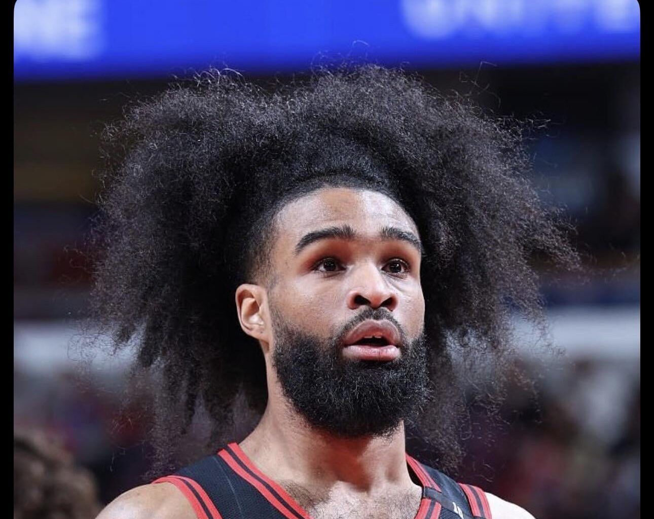 Coby wants 💰💰💰💰💰