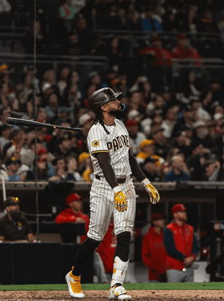 The Top 12 Players for the 2025 Padres in the Regular Season (ranked by bWAR)