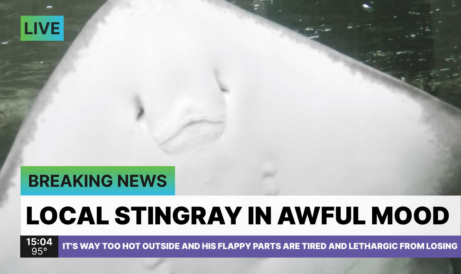 PGT: Waiting... [F: 4-6]