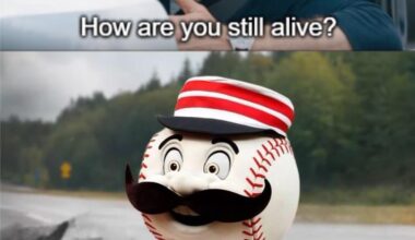 Me checking the standings this week: