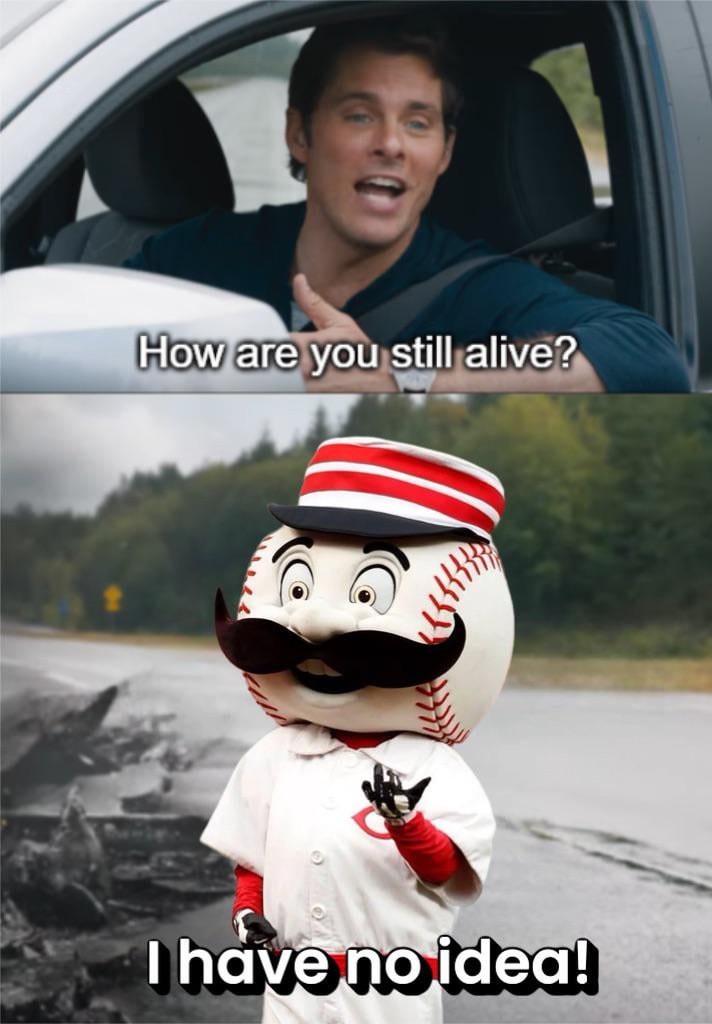 Me checking the standings this week: