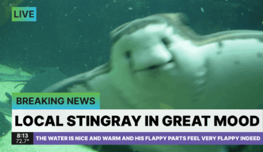 PGT: Tampa Bay Rays (68-69) honor the legacy of Randyland by skewering the Seattle Mariners with home runs, a pitching masterclass, and a whole plethora of offensive firepower! [F: 10-2]