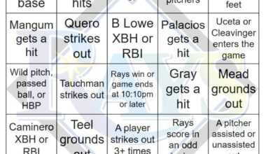 Rays vs White Sox Bingo, 9/09/2025