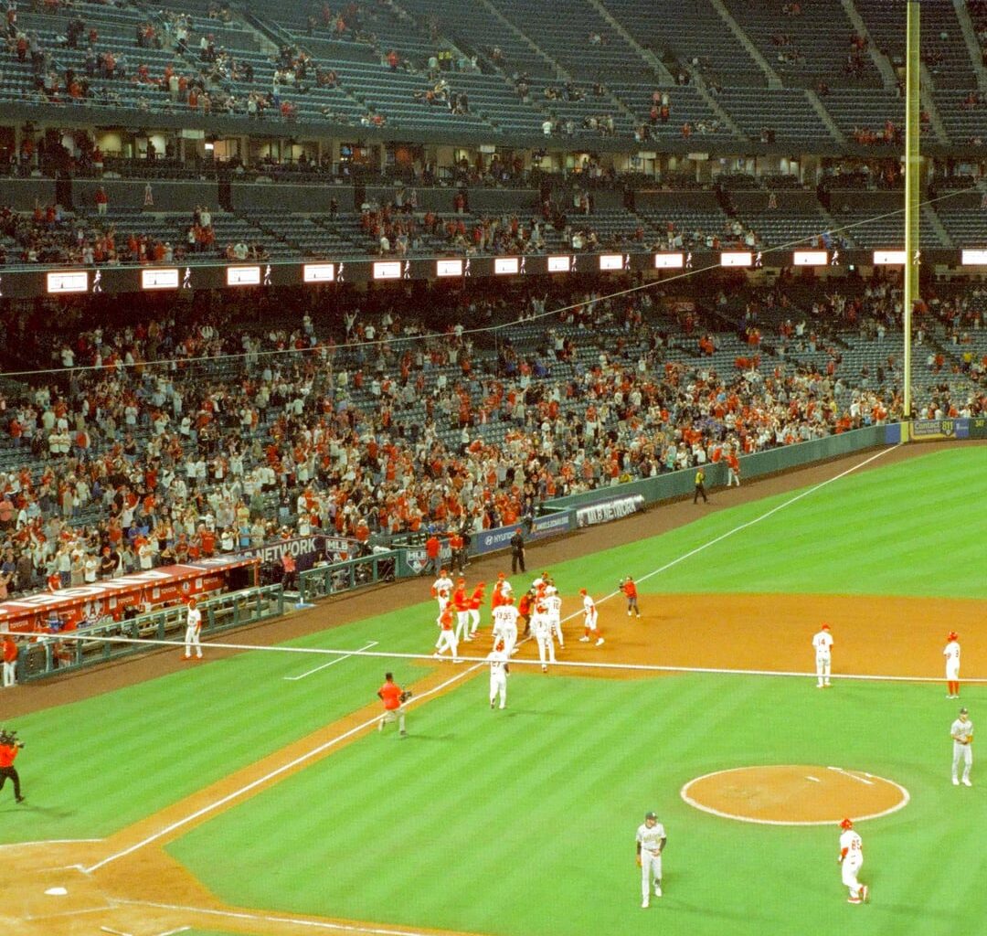 More Halos on film! Bit of May/June