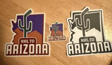 Bought some hats from their link on IG and they threw these in there. NHLtoArizona is the way