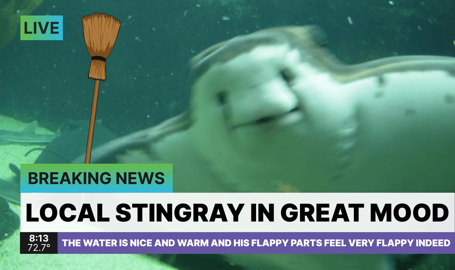 PGT: Bust out those brooms! The Tampa Bay Rays (70-69) get over .500 again, and make it a cool six-straight wins with a breezy sweep of the Seattle Mariners! [F: 9-4]