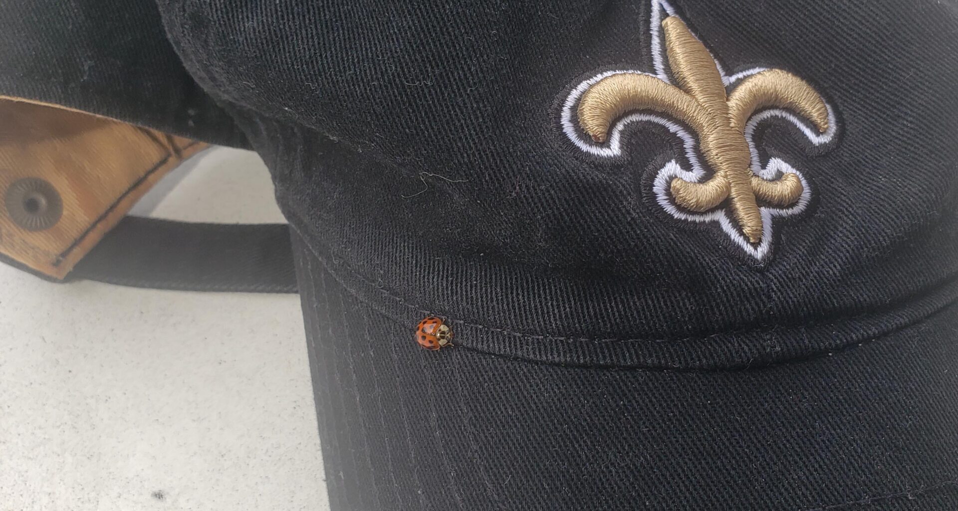 A ladybug landed on my Saints hat this morning...