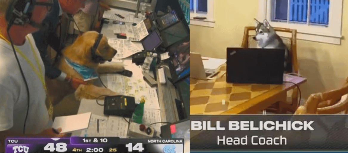 The matchup I want to see