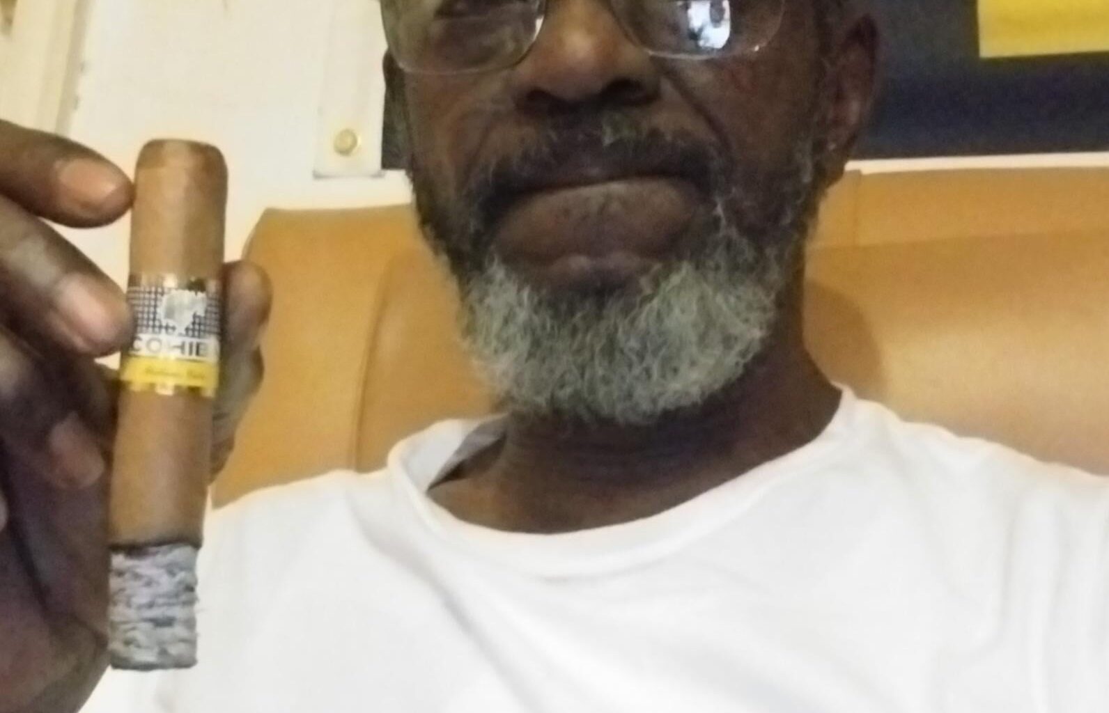 No Understanding Tigers