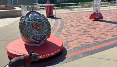 Took Blu out to the stadium for some good luck vibes