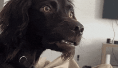 When someone picks up a QB in round 1