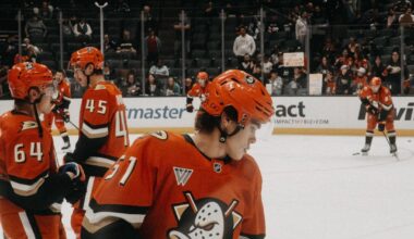 Wanna-be Ducks Photog