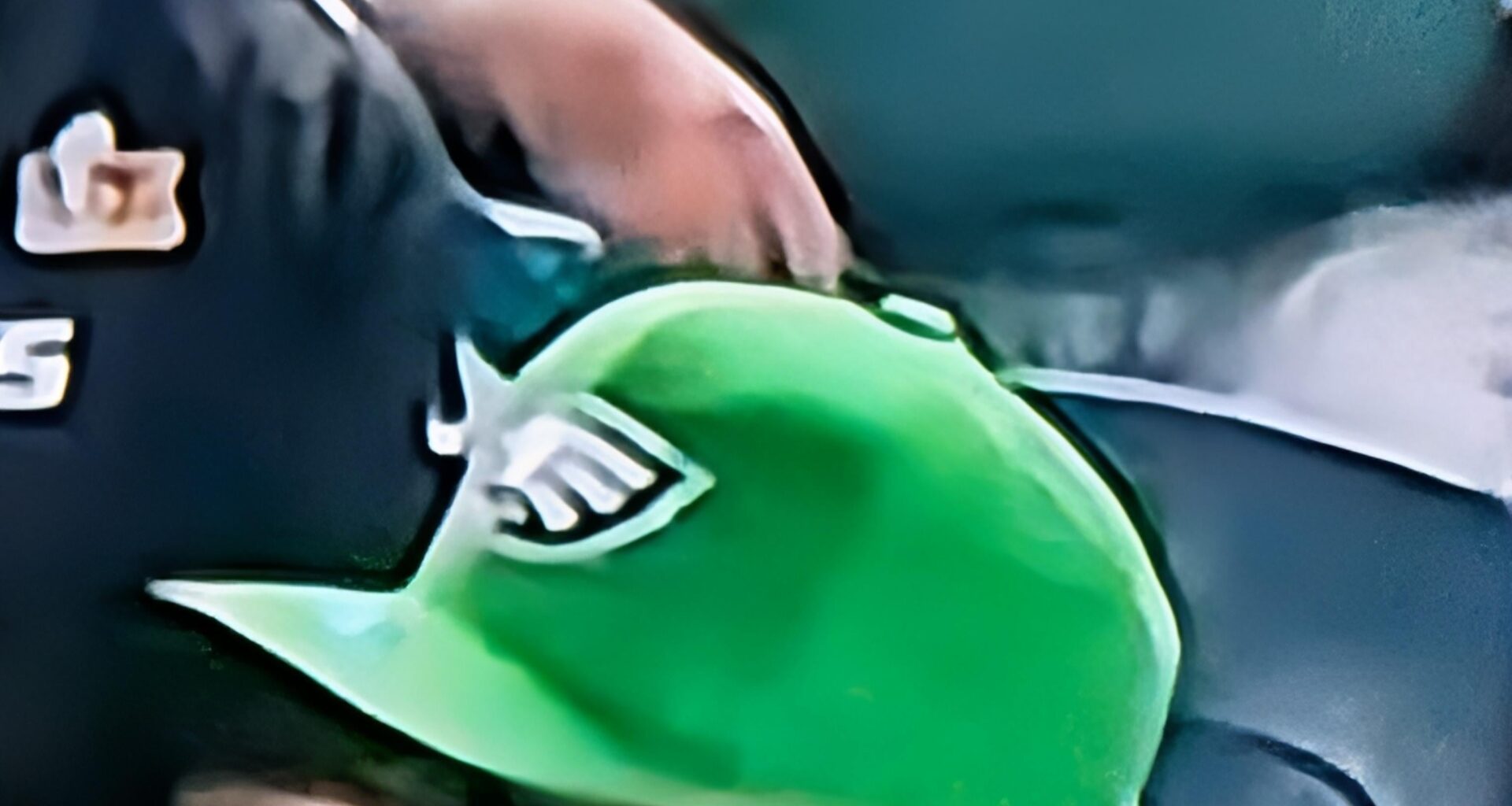 Does anyone know if the saints have super big hats like this?