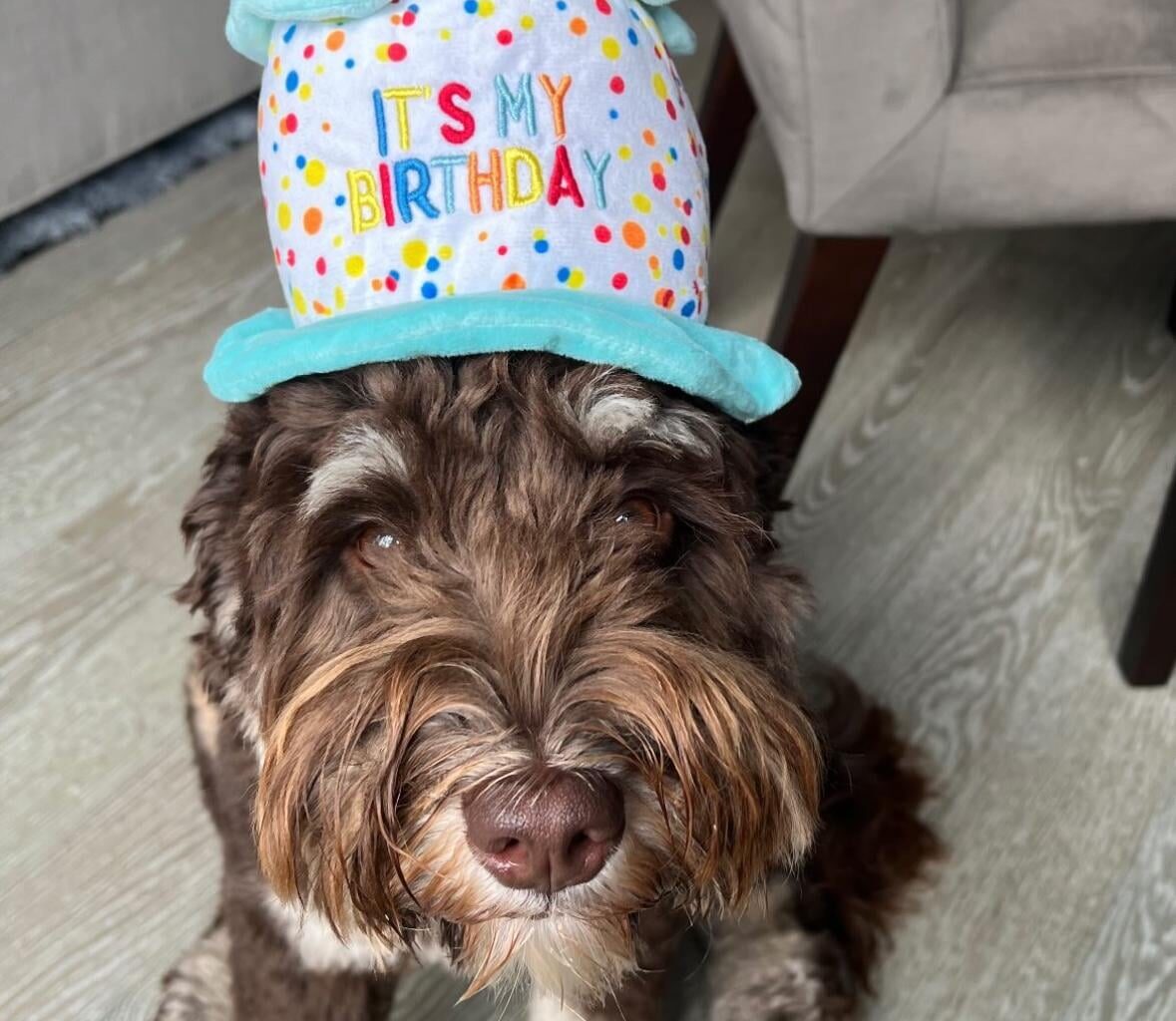 [Knies] BREAKING: Zo Turns 1