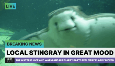 PGT: THERE MAY BE A CHANCE. F: (6-5)