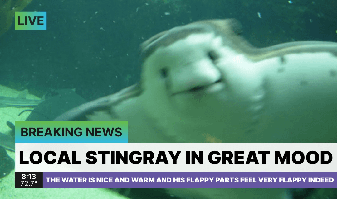 PGT: THERE MAY BE A CHANCE. F: (6-5)