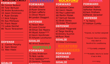 2025 Chicago Blackhawks training camp roster - breakdown